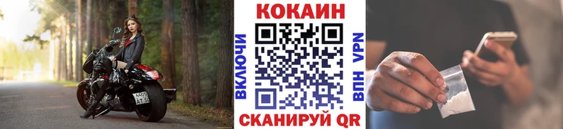 КОКАИН Эквадор где купить наркотик Жиздра