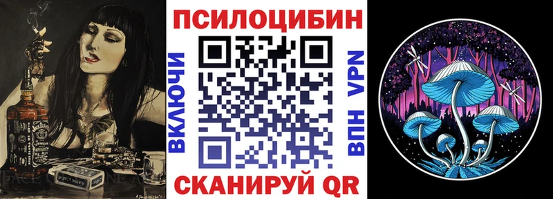 где продают Жиздра МЕГА зеркало Псилоцибиновые грибы Psilocybine cubensis