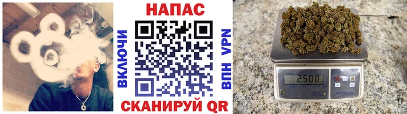 где найти наркотики  Жиздра  МАРИХУАНА AK-47 
